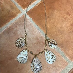Tiger Cowrie Conch Shell necklace
